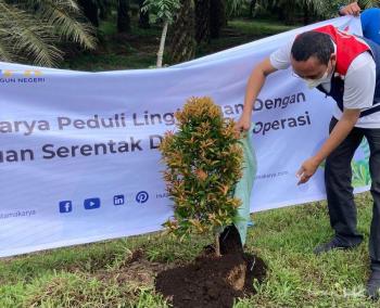 Hutama Karya Tanam 60.000 Pohon di Sepanjang Jalan Tol